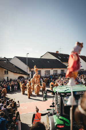 Buntes Treiben am Heitersheimer Rosenmontagsumzug.