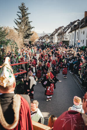 Die Heitersheimer Untergruppen führen den Umzug am Rosenmontag an.