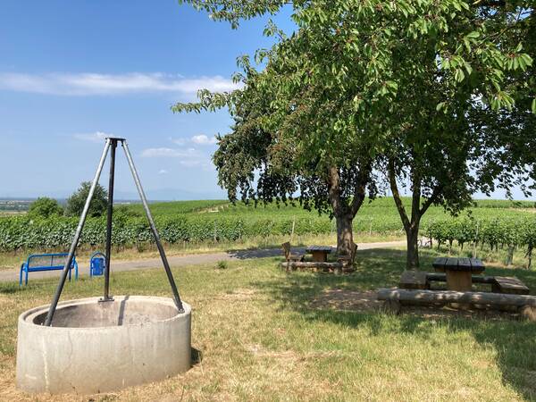 Jugendgrillplatz am Schilzberg mit Feuerstelle und Picknicktischen im Grünen.