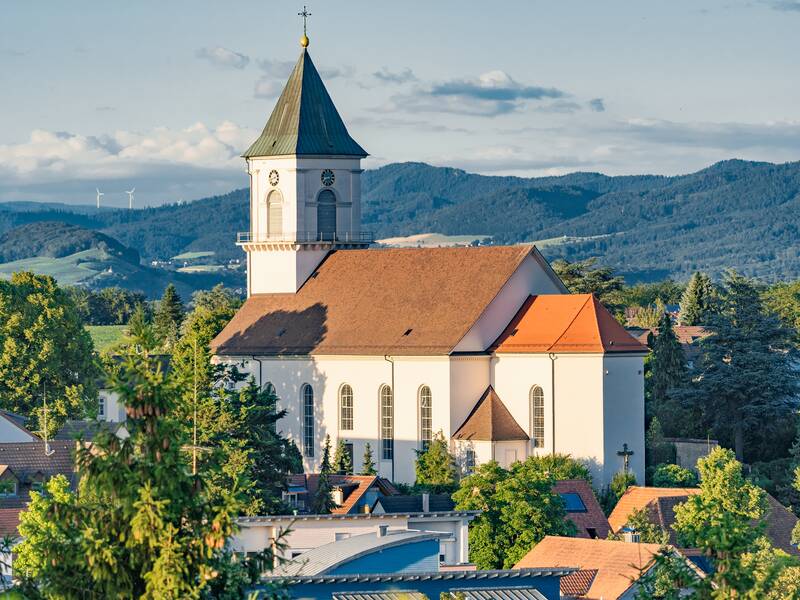 Die Pfarrkirche St. Bartholomäus aus den Reben fotografiert..