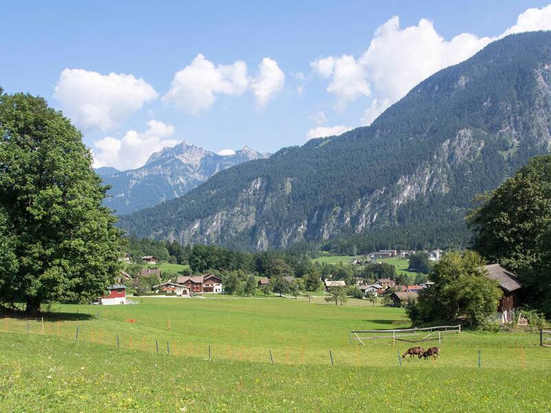 Saftige grüne Wiesen um die Gemeinde Vandans.